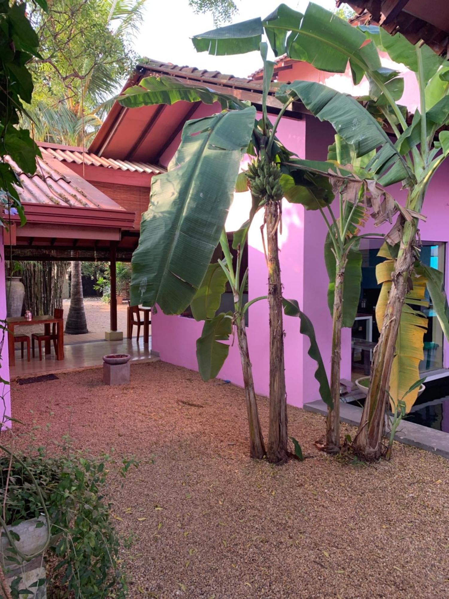 Dickman Resort "The Boutique Hotel" Negombo Eksteriør bilde